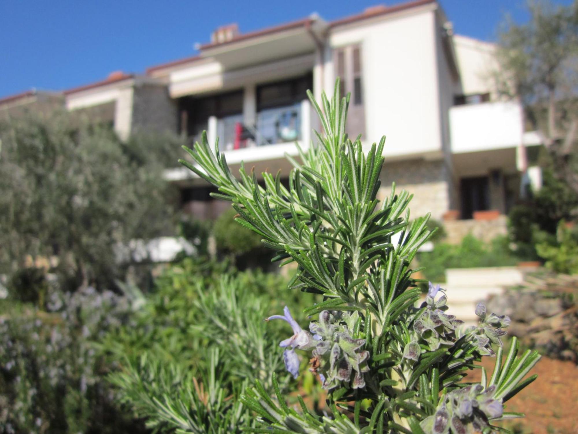 Apartments Palma & Pino Cres Exterior photo