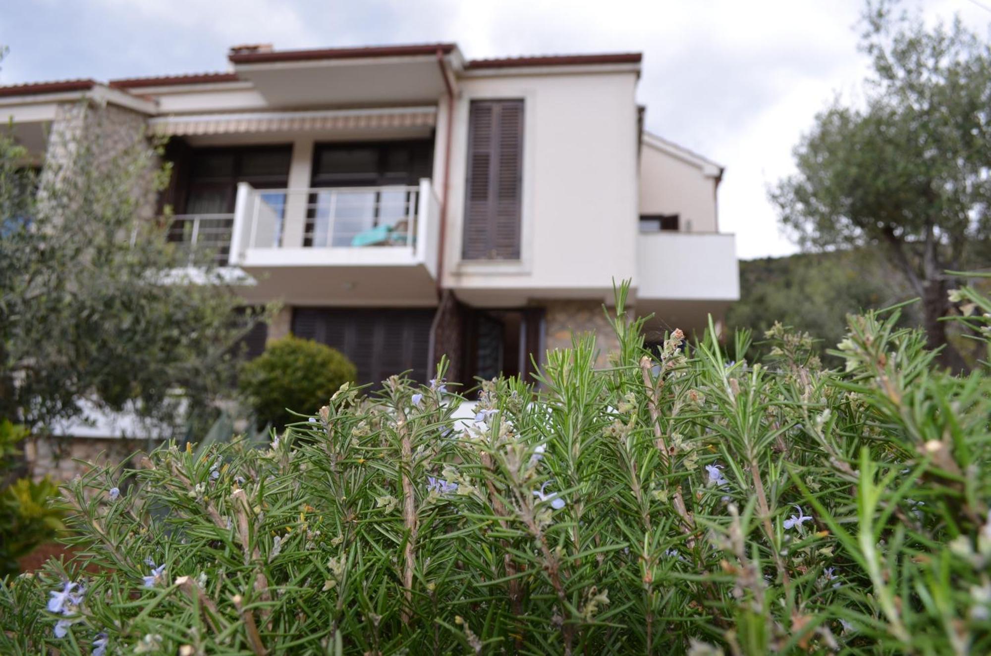 Apartments Palma & Pino Cres Exterior photo
